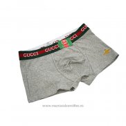 Boxer GC Hombre Verde Gris